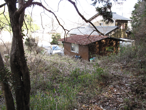 20140103hike (291)